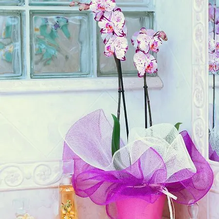 Il Vecchioliveto Di Ornella Marrùbiu