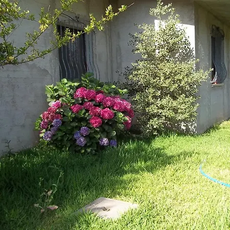 Bed and breakfast Il Vecchioliveto Di Ornella 3*