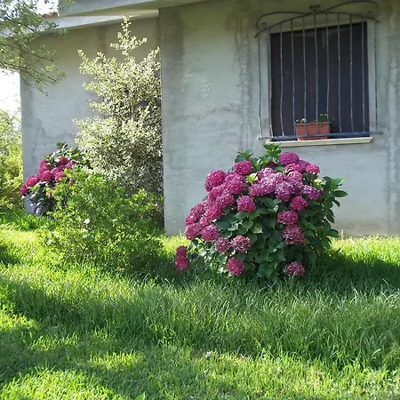 Alojamento de Acomodação e Pequeno-almoço Il Vecchioliveto Di Ornella