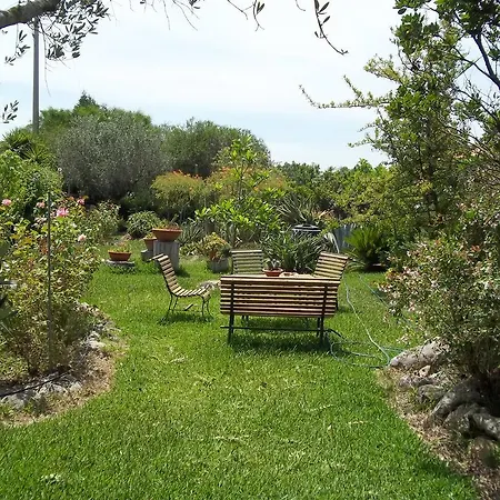 Il Vecchioliveto Di Ornella