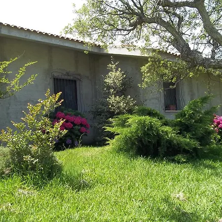 Alojamento de Acomodação e Pequeno-almoço Il Vecchioliveto Di Ornella Marrùbiu