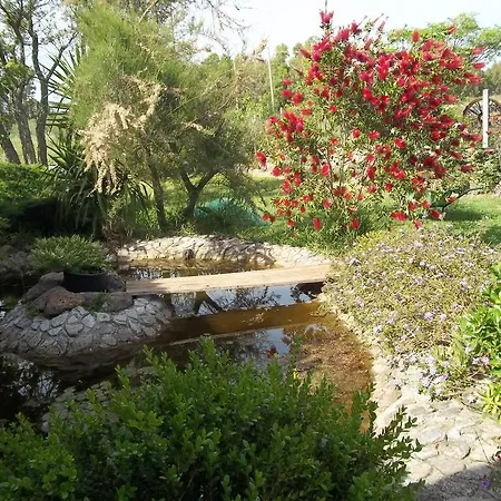 Alojamento de Acomodação e Pequeno-almoço Il Vecchioliveto Di Ornella Marrùbiu