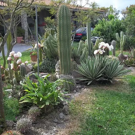 Il Vecchioliveto Di Ornella