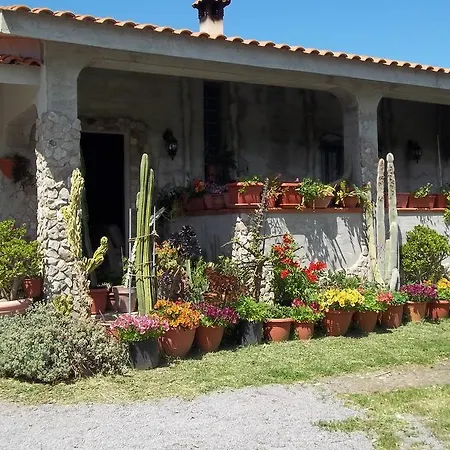 Bed & Breakfast Il Vecchioliveto Di Ornella *