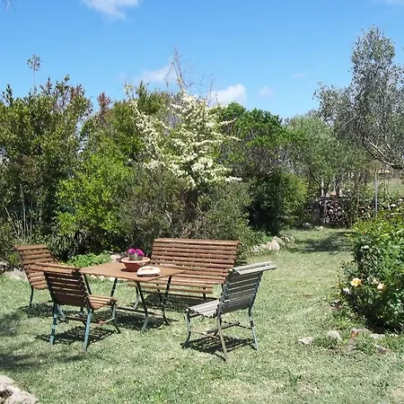 Alojamento de Acomodação e Pequeno-almoço Il Vecchioliveto Di Ornella Marrùbiu