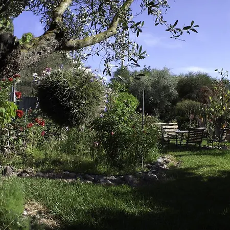 Il Vecchioliveto Di Ornella 3* Marrùbiu