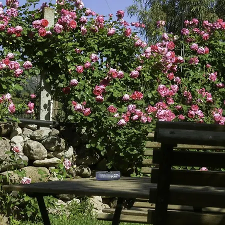 Il Vecchioliveto Di Ornella Alojamento de Acomodação e Pequeno-almoço 3*