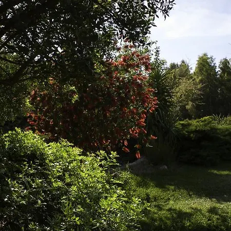 Il Vecchioliveto Di Ornella Marrùbiu