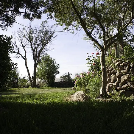 Il Vecchioliveto Di Ornella 3* Marrùbiu