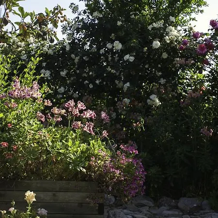 Il Vecchioliveto Di Ornella 3* Marrùbiu