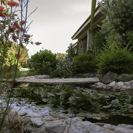 Alojamento de Acomodação e Pequeno-almoço Il Vecchioliveto Di Ornella