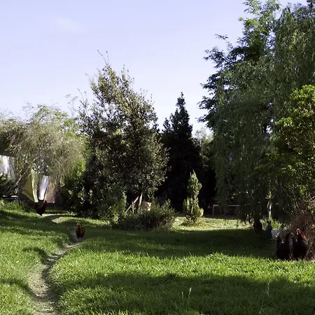 Alojamento de Acomodação e Pequeno-almoço Il Vecchioliveto Di Ornella Marrùbiu