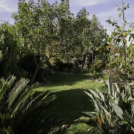Il Vecchioliveto Di Ornella Bed & Breakfast *