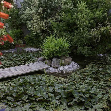 Alojamento de Acomodação e Pequeno-almoço Il Vecchioliveto Di Ornella