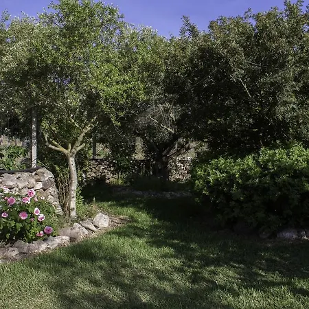 Alojamento de Acomodação e Pequeno-almoço Il Vecchioliveto Di Ornella