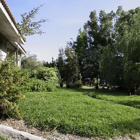 Alojamento de Acomodação e Pequeno-almoço Il Vecchioliveto Di Ornella