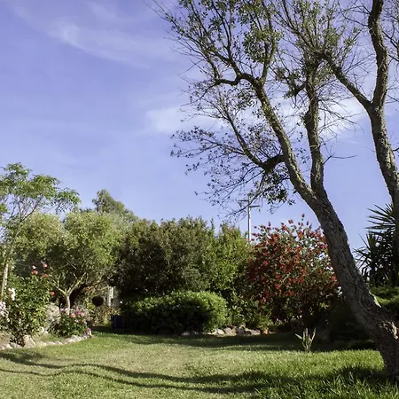 Il Vecchioliveto Di Ornella 3* Marrùbiu