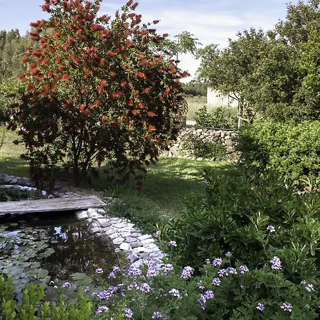 Il Vecchioliveto Di Ornella 3*