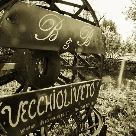 Il Vecchioliveto Di Ornella Alojamento de Acomodação e Pequeno-almoço