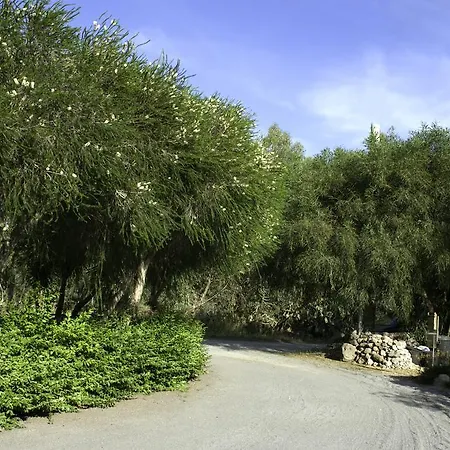 Alojamento de Acomodação e Pequeno-almoço Il Vecchioliveto Di Ornella Marrùbiu