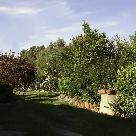 Alojamento de Acomodação e Pequeno-almoço Il Vecchioliveto Di Ornella