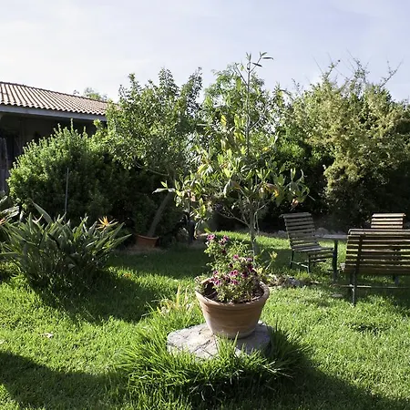 Il Vecchioliveto Di Ornella Bed & Breakfast