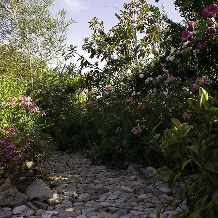 Alojamento de Acomodação e Pequeno-almoço Il Vecchioliveto Di Ornella