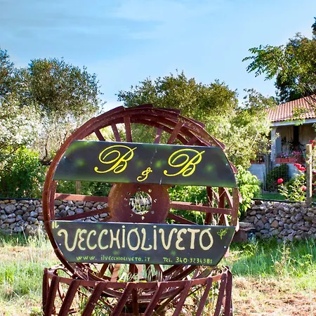 ベッド・アンド・ブレックファスト Il Vecchioliveto Di Ornella