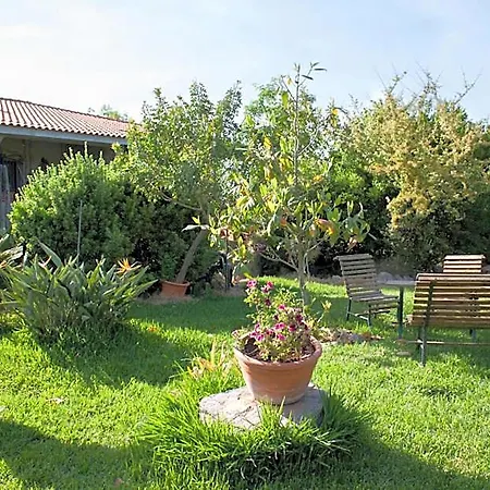 Il Vecchioliveto Di Ornella Bed & Breakfast 3*