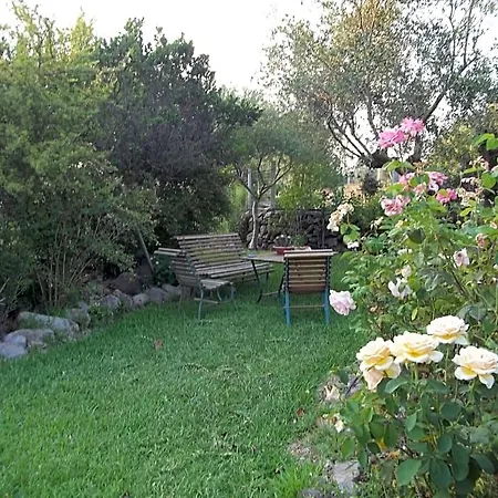 Il Vecchioliveto Di Ornella Bed & Breakfast