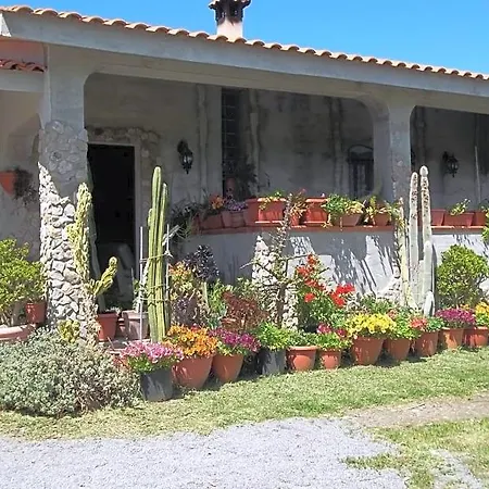 Il Vecchioliveto Di Ornella