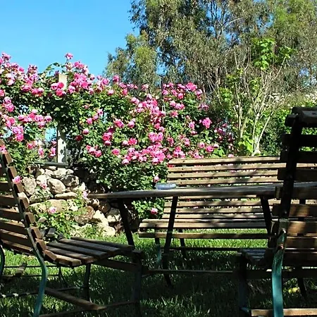 Bed & Breakfast Il Vecchioliveto Di Ornella 3*