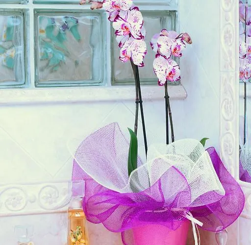 奥尔内拉维奇里维托酒店 Marrùbiu