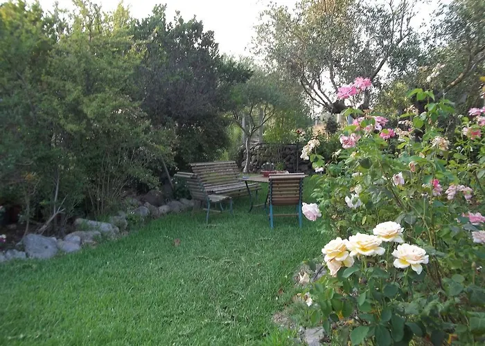 奥尔内拉维奇里维托酒店