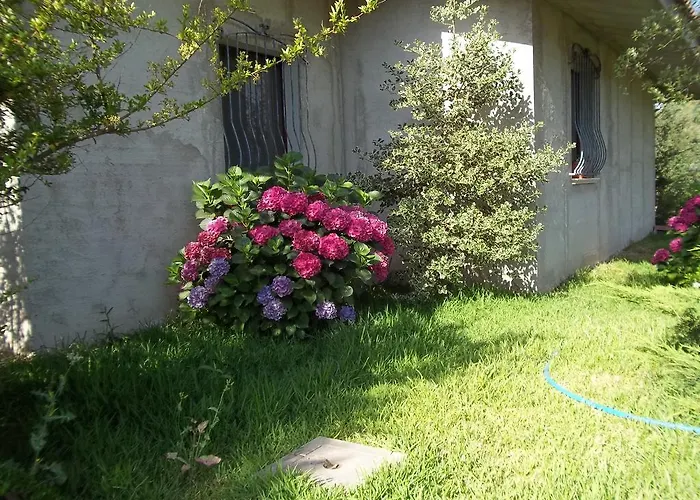 住宿加早餐酒店 奥尔内拉维奇里维托酒店 3*