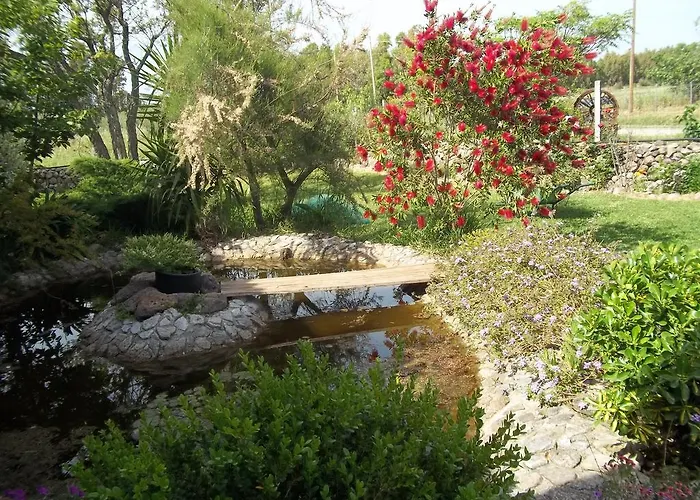 住宿加早餐酒店 奥尔内拉维奇里维托酒店 Marrùbiu