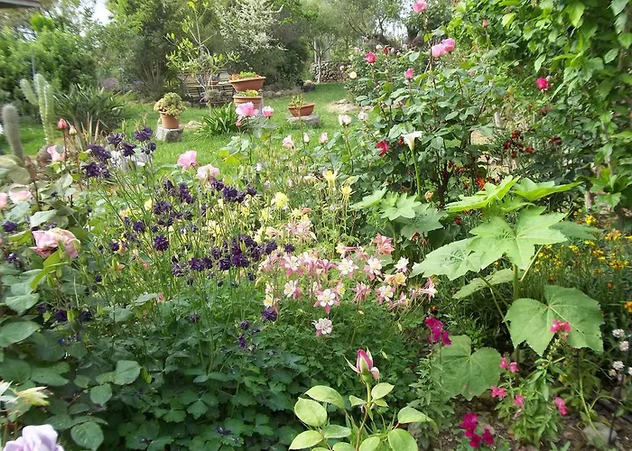 奥尔内拉维奇里维托酒店 Marrùbiu