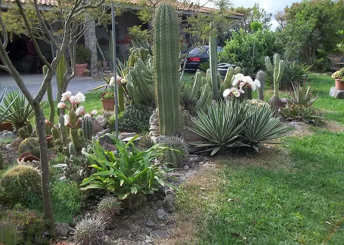 奥尔内拉维奇里维托酒店