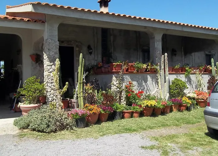 住宿加早餐酒店 奥尔内拉维奇里维托酒店 3*