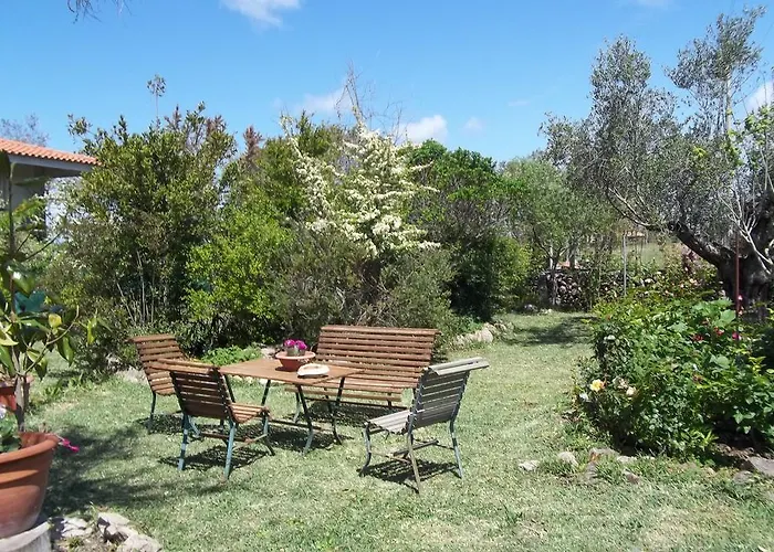 住宿加早餐酒店 奥尔内拉维奇里维托酒店 Marrùbiu