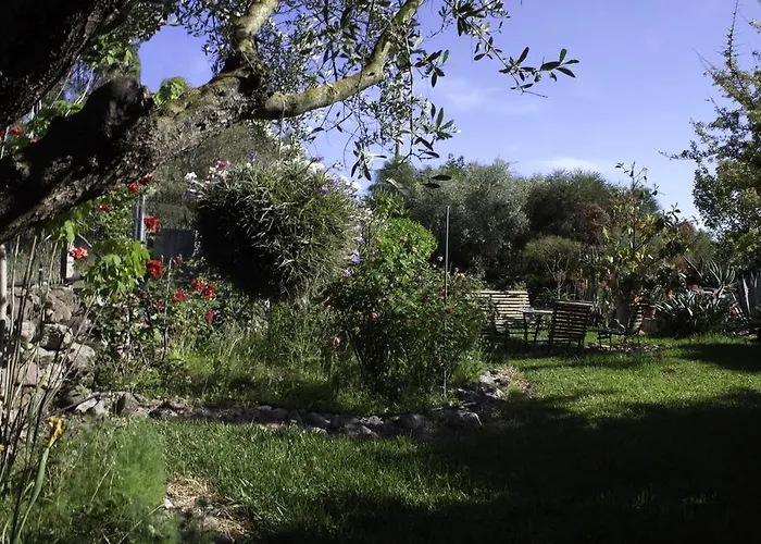 奥尔内拉维奇里维托酒店 3* Marrùbiu