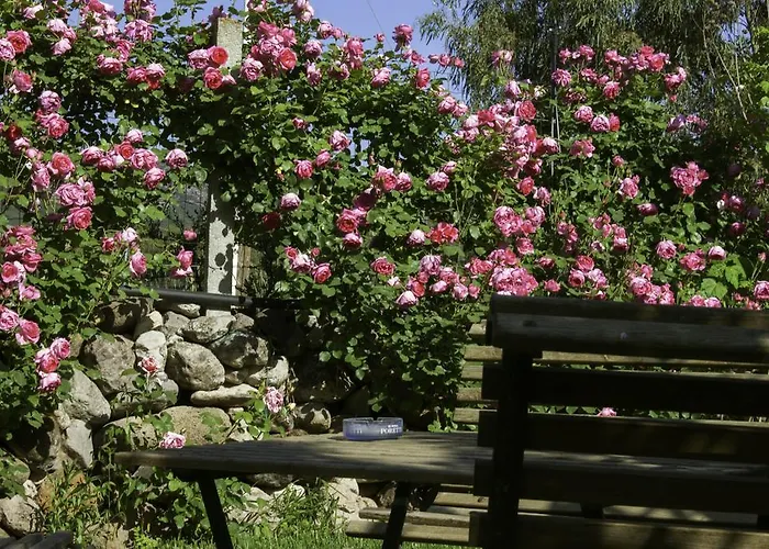 奥尔内拉维奇里维托酒店 住宿加早餐酒店 3*