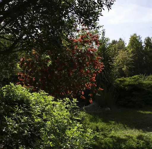奥尔内拉维奇里维托酒店 Marrùbiu