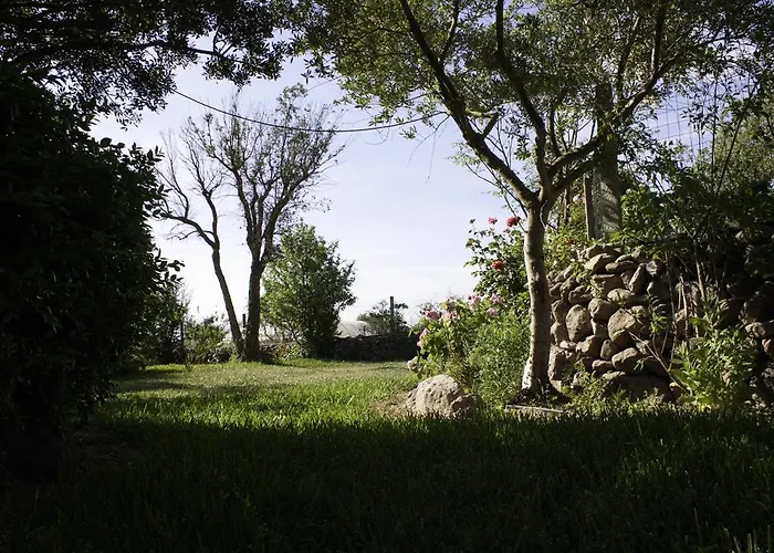 奥尔内拉维奇里维托酒店 3* Marrùbiu