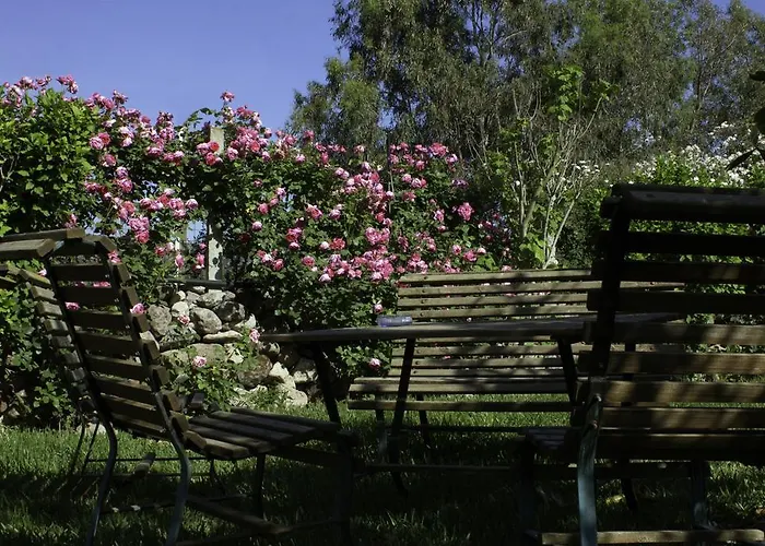 奥尔内拉维奇里维托酒店