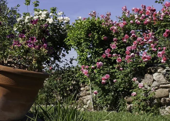 奥尔内拉维奇里维托酒店 住宿加早餐酒店 3*