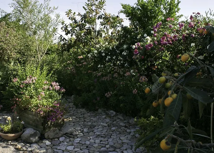 奥尔内拉维奇里维托酒店