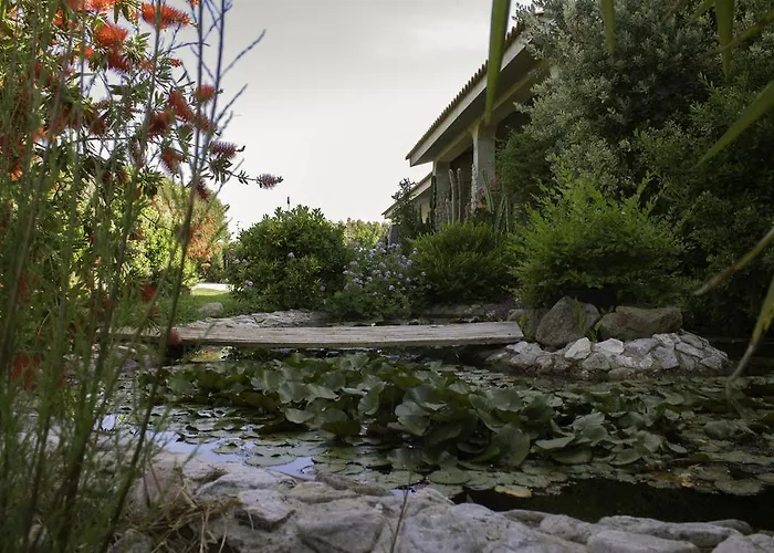 住宿加早餐酒店 奥尔内拉维奇里维托酒店