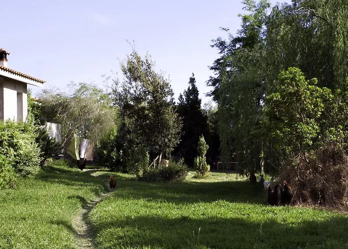 住宿加早餐酒店 奥尔内拉维奇里维托酒店 Marrùbiu