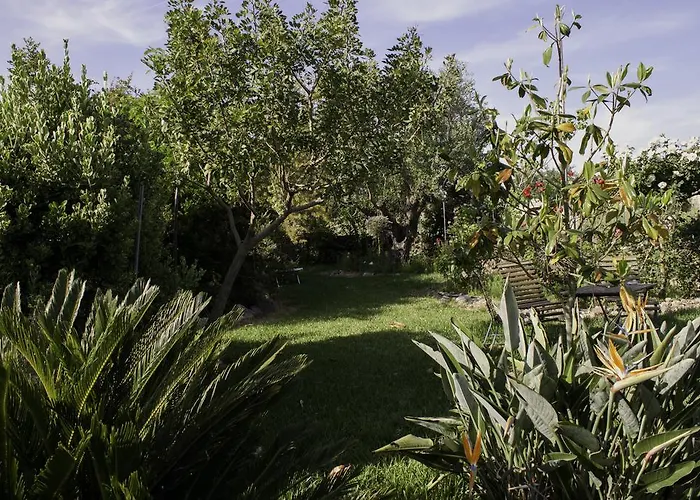 奥尔内拉维奇里维托酒店 住宿加早餐酒店 3*